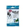 XYLITOL DROPS MINT SUGAR FREE 26 Pièces Promo Parapharmacie Casablanca Maroc - Medical Media Store