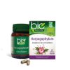 Yves Ponroy Harpagophytum Bio – 60 Gelules Promo Parapharmacie Casablanca Maroc - Medical Media Store